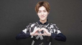 鹿晗网红爆料事件视频,揭秘娱乐圈背后真相  第3张